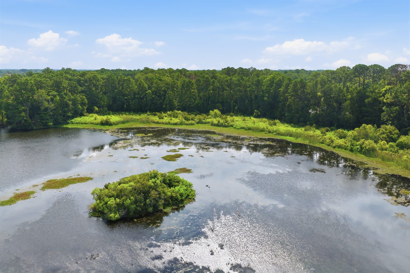 The lake seen across the shoreline