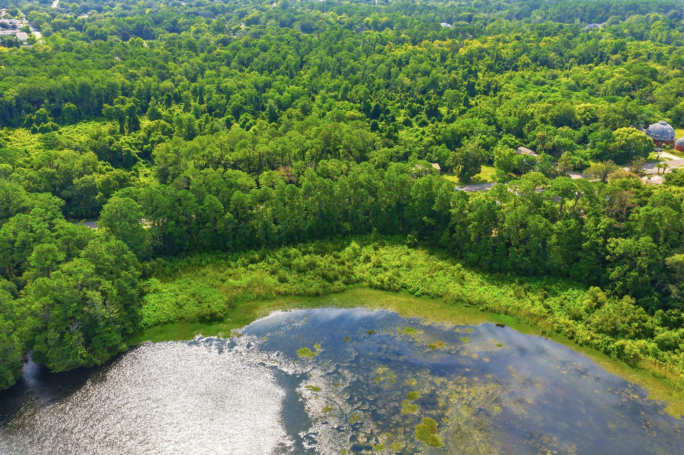 Aerial over the wooded south shore